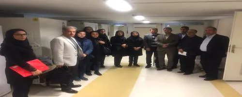 کوهورت